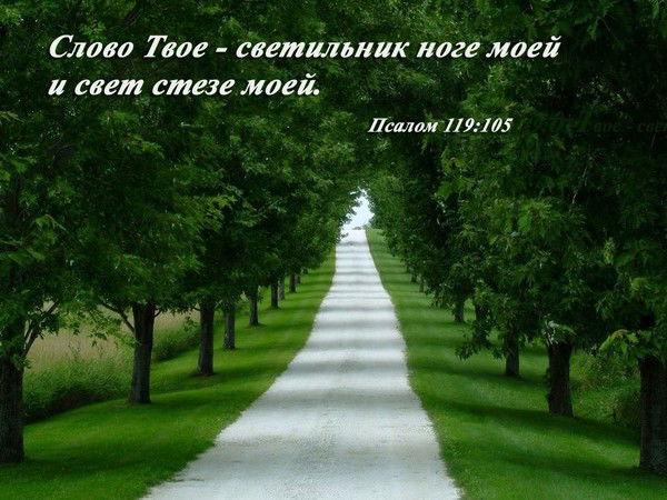 Вадим Королёв