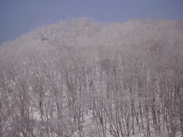 Магомед Мугушов