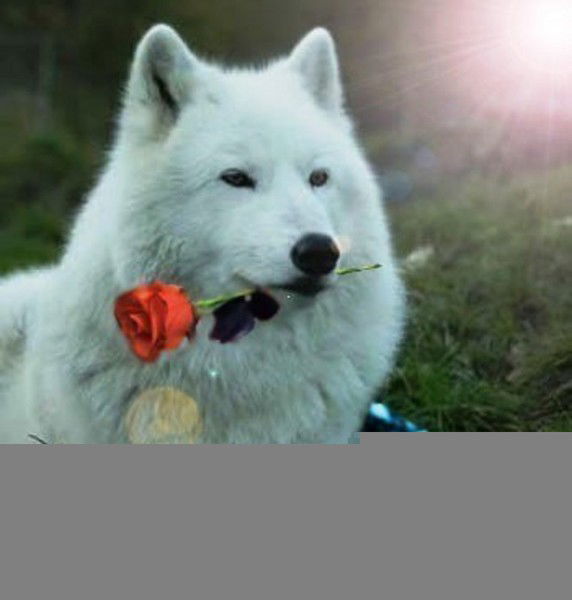 Алексей Беляев