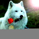 Алексей Беляев