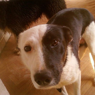 Юрий Крупский