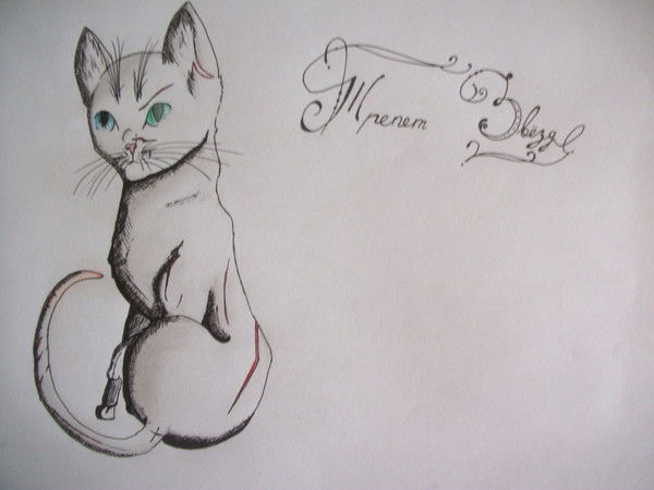 Трепет Звезд~ Leader Of Clm