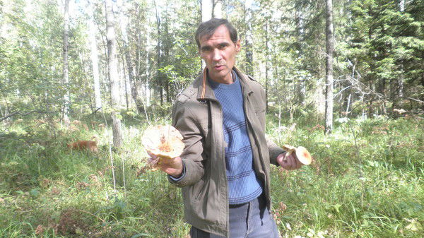 Владимир Кривошеин