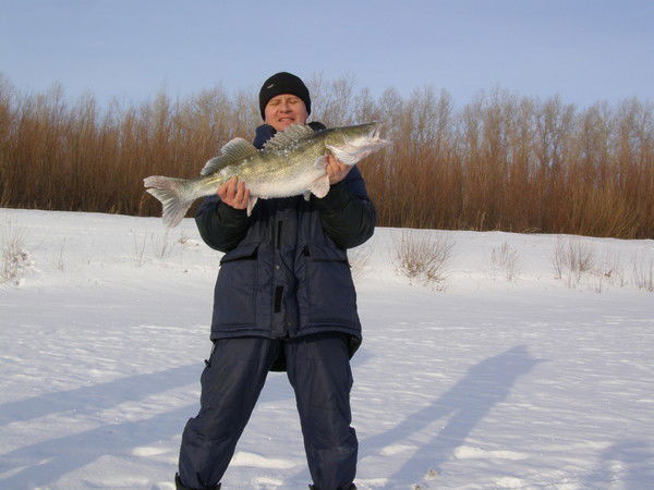 Владислав Лобода