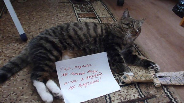 Ольга Алексеевна