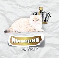 Наталья Павлова