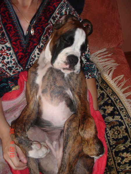 Алла Голубева