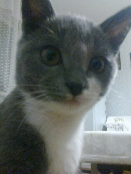 Иван Гордеев