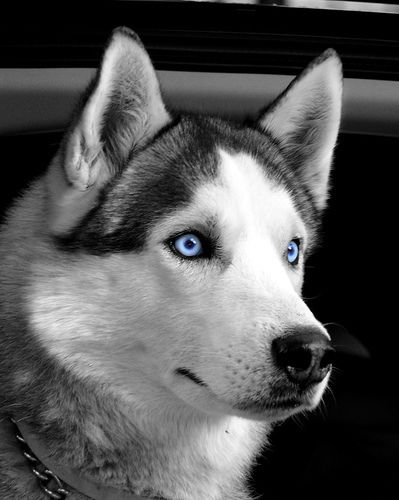 Дмитрий Крюков