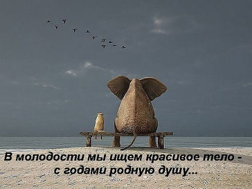 Ирина Бабина