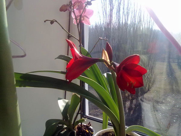 Владимир Кишкинов