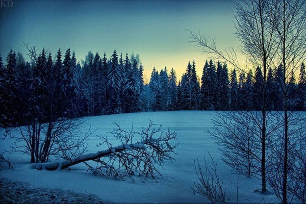 Elzana Bintu Al Talipjan