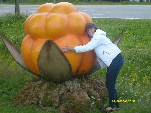 Елена Вишневская