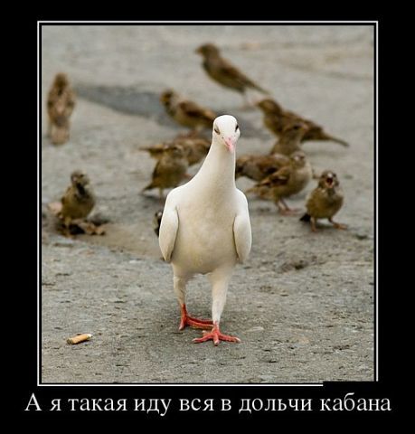 Ирина Езеева