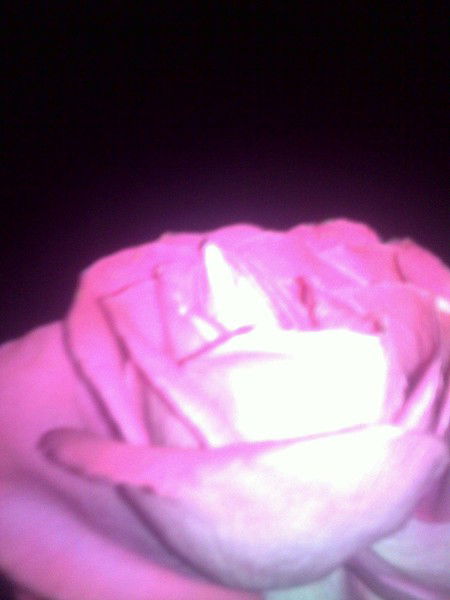 Катюха Воронина