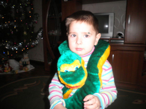 Василиса Прекрасная