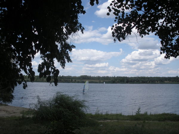 Елена Олейник