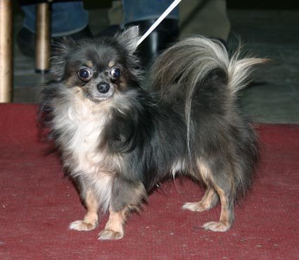 Ирина Сойма