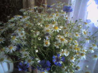 Марина Иванова