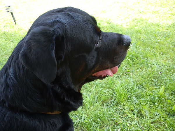 Михаил Худаев