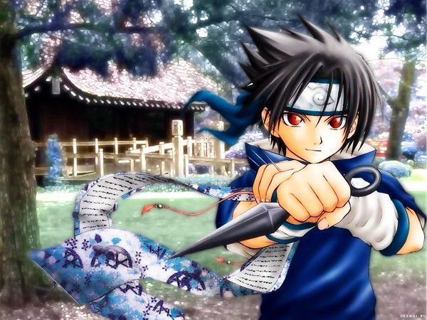 Дарья Хроник