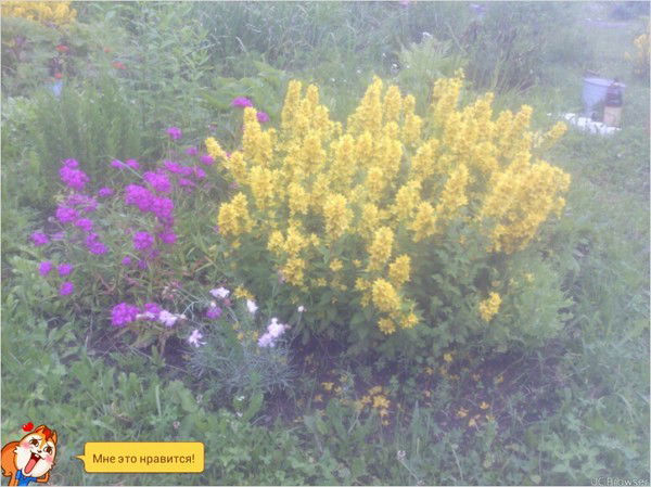 Наталья Тарантова