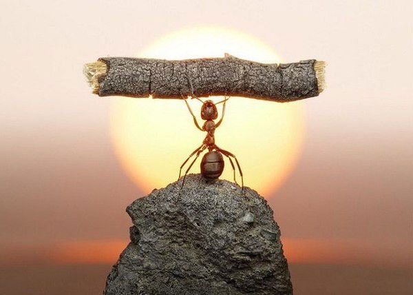 Наталья Тараканова