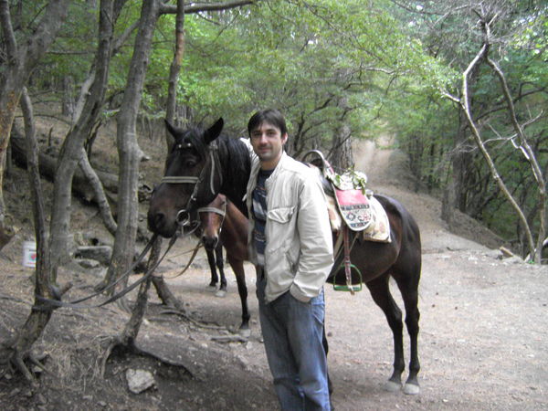 Александр Лукша