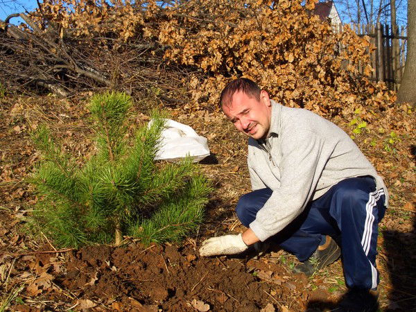 Евгений Романов