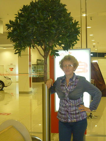 Неизвестно Неизвестно