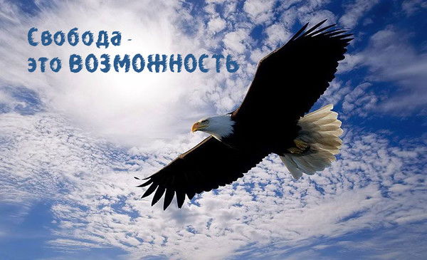 Александр Литвинов