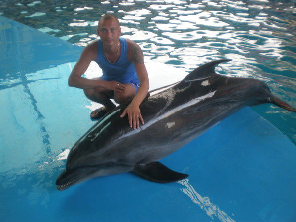 Санек Лавлинский