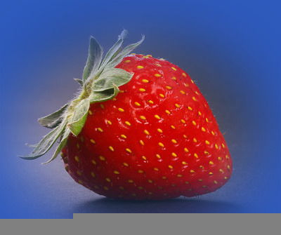 Оксана Афанасьева