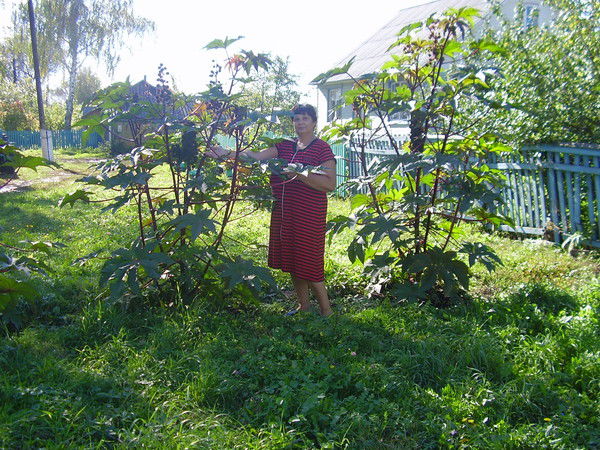 Тамара Зоткина