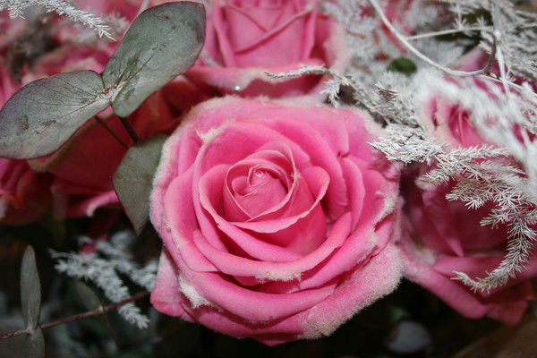 Наталия Андерсон