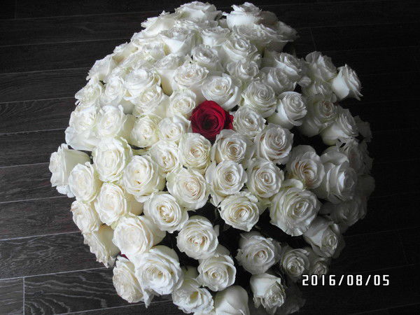 Ирка Скорковская