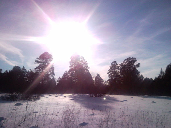 Константин Дорофеев