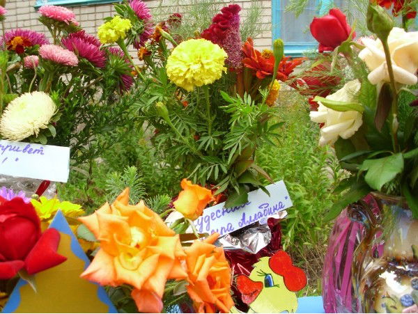 До №5 Сауле ****