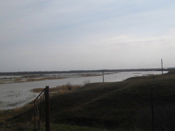 Бахитов Мелек