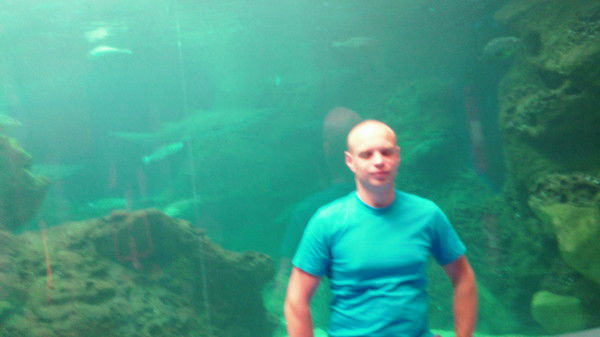 Дмитрий Бык