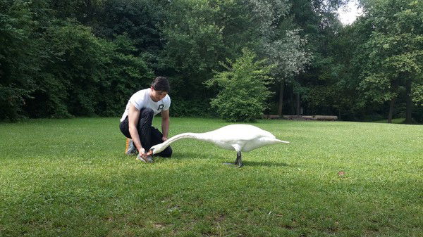 Дамир Ильясов