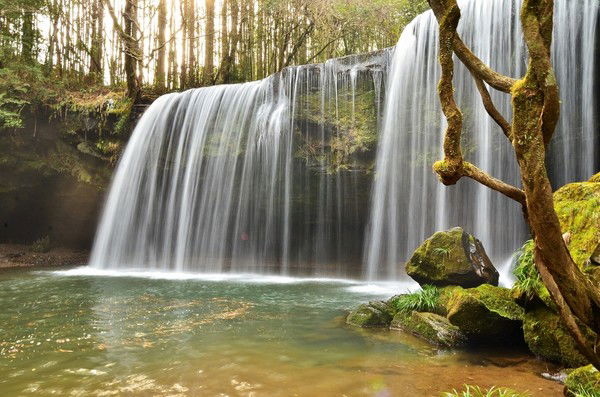 Каныбек Ачекеев