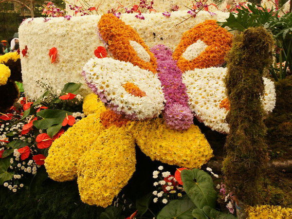 Сара Отебаева