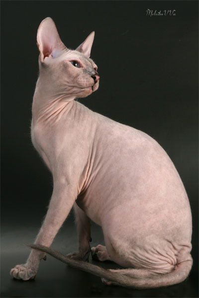 Татьяна Татьяна