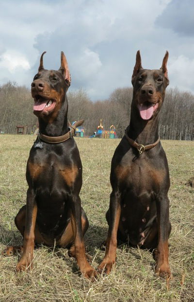 Анастасия Рыбина