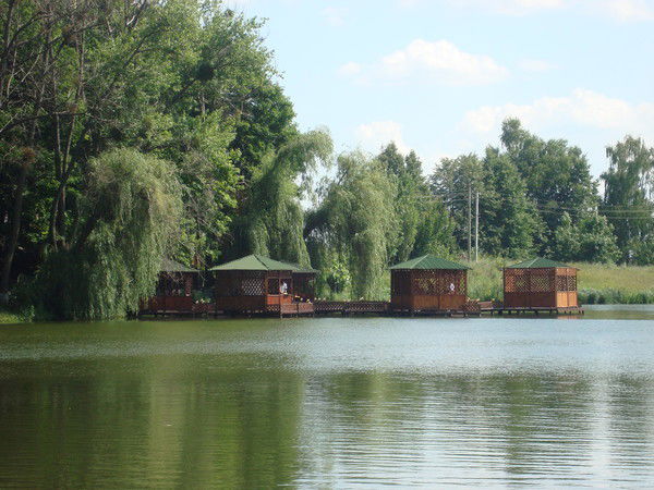 Надежда Николаевна