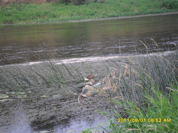 Игорь Ефимов