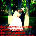 Сейдалиев Артур