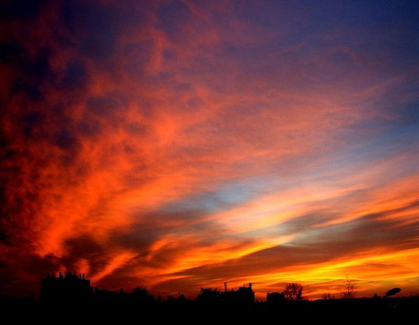 Владимир Доля