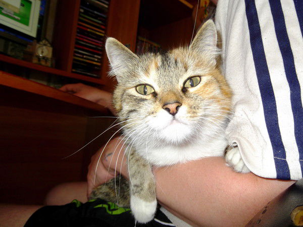 Дима Оборин